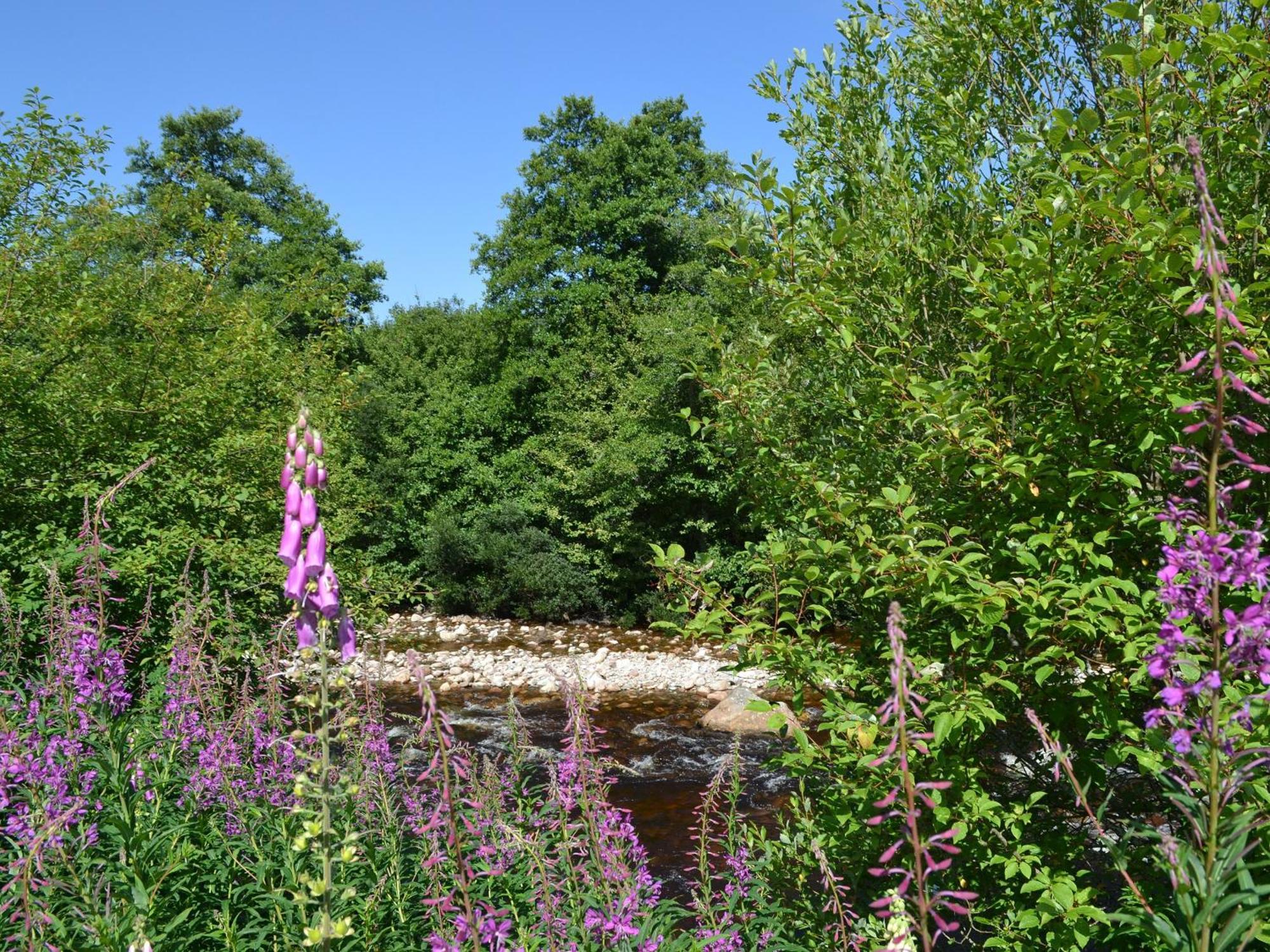 Battanropie Lodge Carrbridge Exteriér fotografie